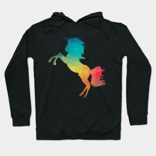 Rainbow unicorn horse Hoodie